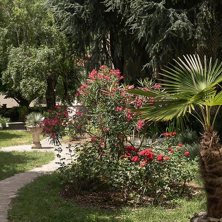 Residence Midi Mazamet Exterior photo